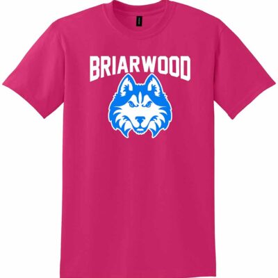 Briarwood Gildan® 8000 DryBlend® T-Shirt Heliconia